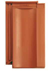 Roșu   natural - main