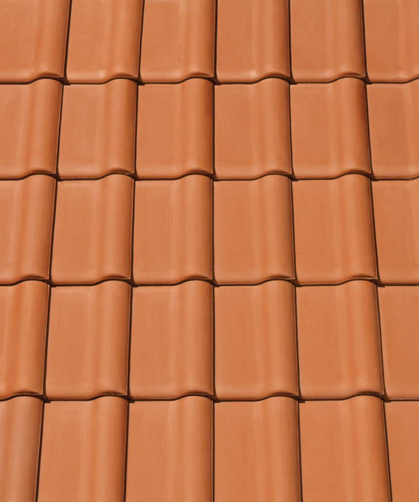 Roșu   natural – laying