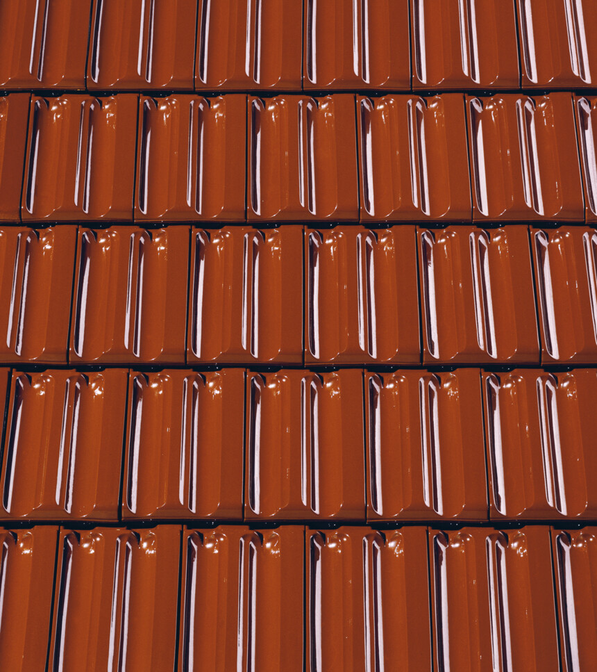 Maro castan   glazură – laying