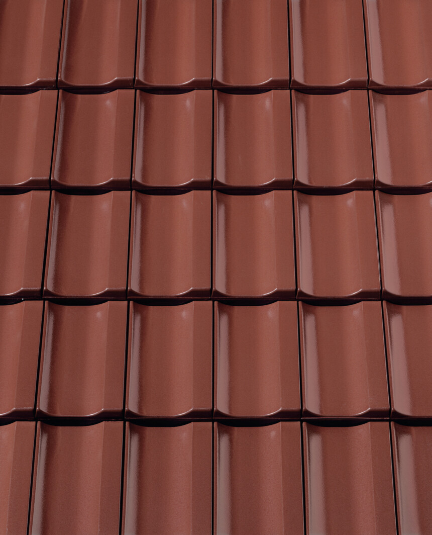 Maro   angobă – laying